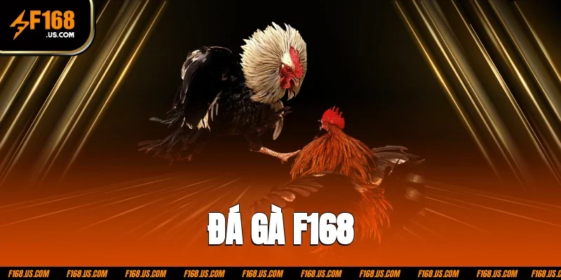Đá gà F168