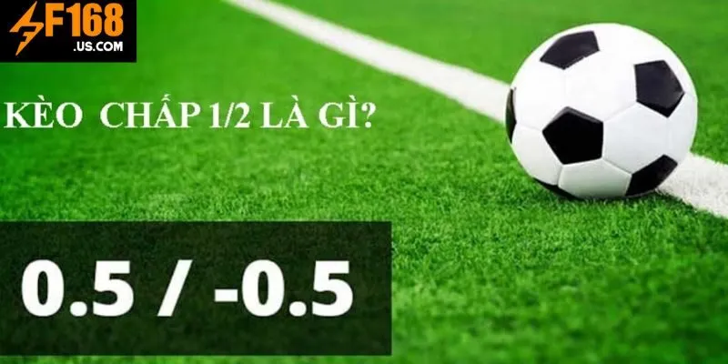 Khái niệm kèo 0.5 là gì hội viên nên biết